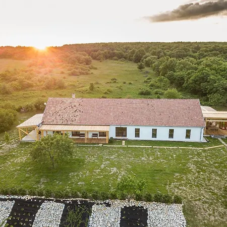 Portushome * Vaszoly